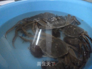 清蒸大闸蟹的做法步骤：3