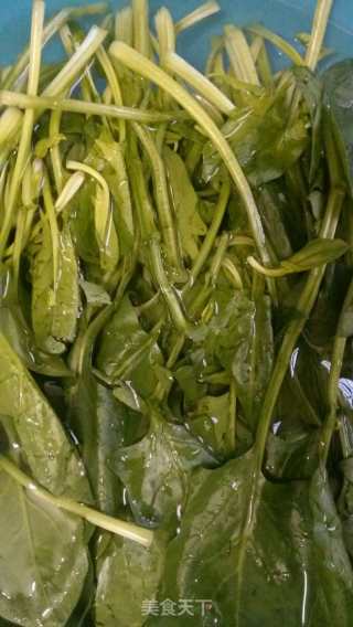 蒜炒菠菜的做法步骤：3