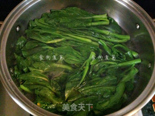蒜蓉白灼菜心的做法步骤：4