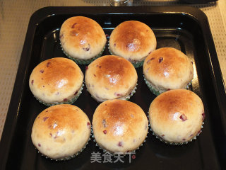 蔓越莓小餐包的做法步骤：15