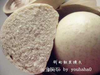 山东戗面麸皮馒头的做法步骤：9