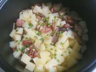 土豆腊肠焖饭的做法步骤：5