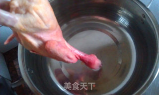 陈皮绿豆鸽子汤的做法步骤：4