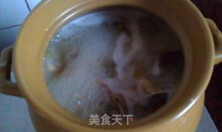 陈皮绿豆鸽子汤的做法步骤：6