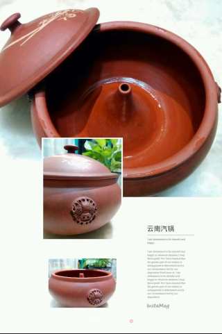 药膳养生--汽锅鸽子的做法步骤：7