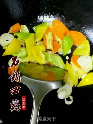 石锅田鸡的做法步骤：4