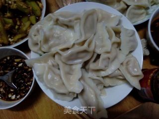 猪肉鱿鱼馅饺子的做法步骤：10