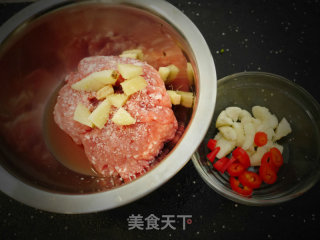 简易肉末炒豆角的做法步骤：2