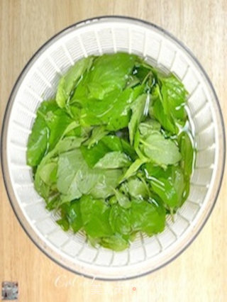 私菜食谱经－－九层塔脯蛋的做法步骤：1