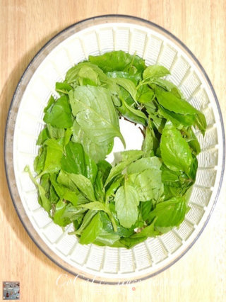 私菜食谱经－－九层塔脯蛋的做法步骤：2