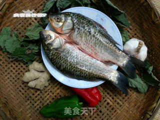 炖煮鲫鱼的做法步骤：3