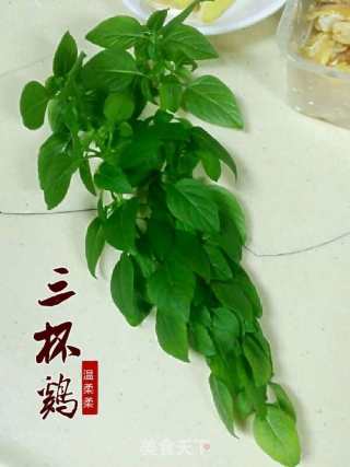 台式三杯鸡的做法步骤：1