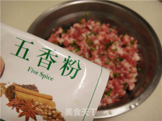 【太阳肉】-轻松解决剩余肉馅的做法步骤：4