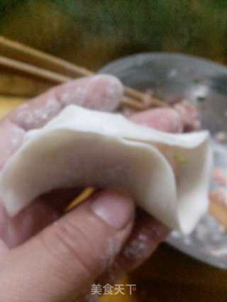 煎饺的做法步骤：7