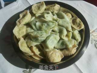 韭菜鸡蛋饺子的做法步骤：19