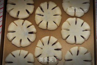 花儿豆沙面包的做法步骤：10