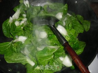 口蘑炒白菜的做法步骤：4