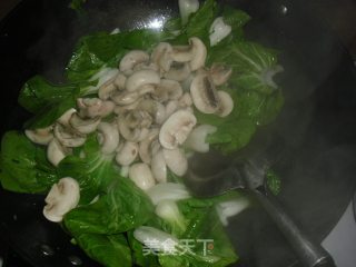口蘑炒白菜的做法步骤：5