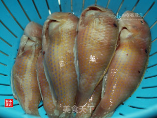 鹦哥鱼饭的做法步骤：2