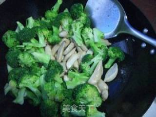 鲍汁西兰花杏鲍菇仔的做法步骤：8