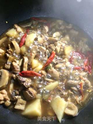 鸡肉蘑菇炖土豆的做法步骤：9