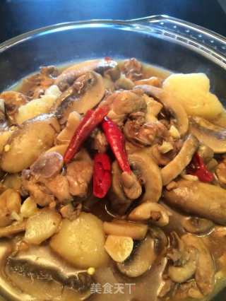 鸡肉蘑菇炖土豆的做法步骤：10
