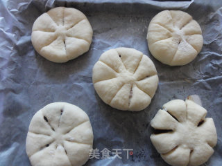 红豆沙面包的做法步骤：7