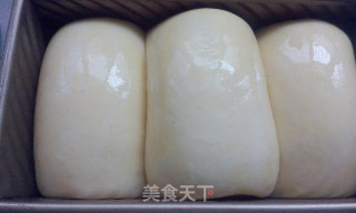 奶酪吐司的做法步骤：18