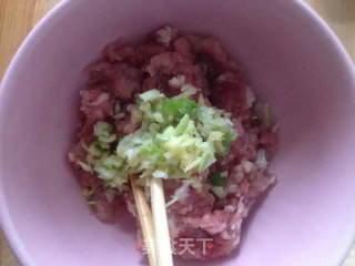 京都肉饼的做法步骤：5