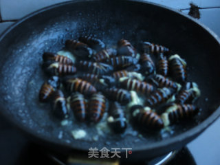 香葱炒茧蛹的做法步骤：4