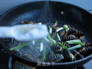 香葱炒茧蛹的做法步骤：7