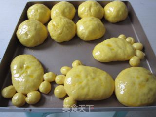 小脚丫肉松包的做法步骤：13