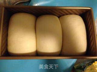 香草酸奶吐司的做法步骤：12
