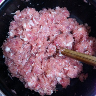 蜜汁肉脯的做法步骤：3