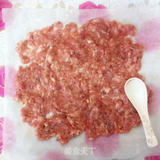 蜜汁肉脯的做法步骤：4