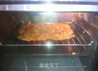 蜜汁肉脯的做法步骤：10
