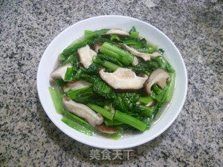 香菇炒天菜的做法步骤：10