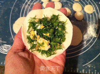 茴香鸡蛋饺子的做法步骤：7