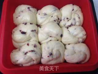 蔓越莓老面包的做法步骤：8