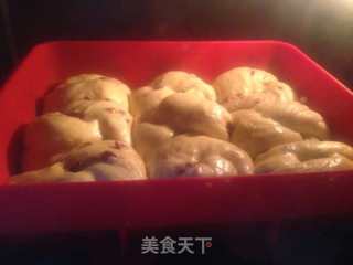 蔓越莓老面包的做法步骤：10