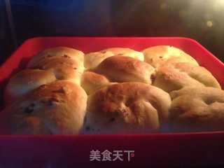 蔓越莓老面包的做法步骤：12