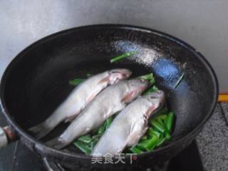葱烧季花鱼的做法步骤：2