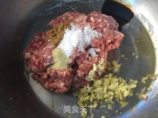 牛肉胡萝卜饺子的做法步骤：2