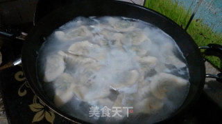 鸡蛋菠菜馅饺子的做法步骤：6