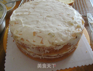 哈密瓜奶油蛋糕的做法步骤：21