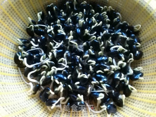 自制黑豆芽的做法步骤：9