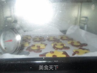抱果仁的小熊饼干，会报果仁的小松鼠饼干的做法步骤：14