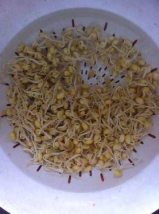无丝豆肉片焖面的做法步骤：4