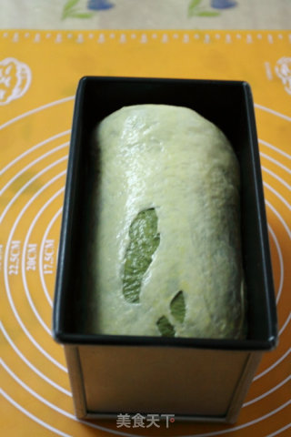 三色玫瑰香土司的做法步骤：9