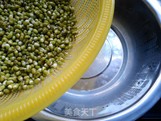 自制绿豆芽的做法步骤：3